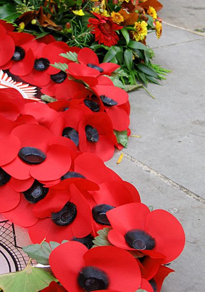 Remembrance Poppies commons wikimediia